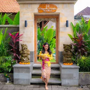 Cempaka Kembar Maison d'hôtes Ubud