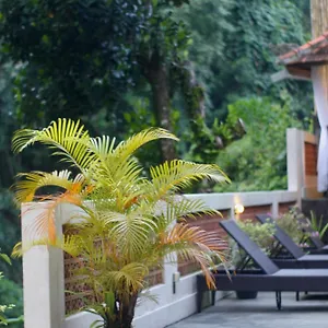 Hanaka Riverside Maison d'hôtes Ubud